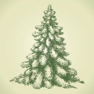 Fir in forest glade Vector sketch N2
