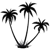 Palm trees silhouette N7