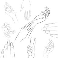 Collection of hands in various gestures manicure and beauty concept