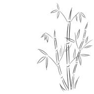 bamboo branches hand drawn vector illustration