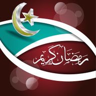 Ramadan Kareem Vector Illustration Greeting Card N24