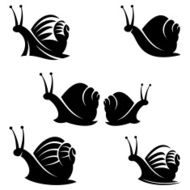snail N11
