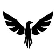 Hawk tattoo N2