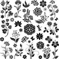 Floral collection N4