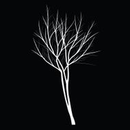 Trees with dead branch N121