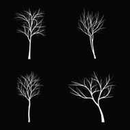 Trees with dead branch N122