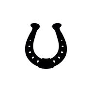 Horseshoe illustration N6