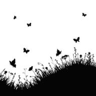 grassy hill