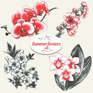 Summer Flowers Set N5