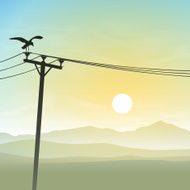 Bird on Telephone Lines