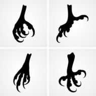 Bird claws