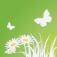 butterfly N120