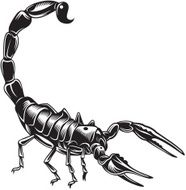 Scorpion N10