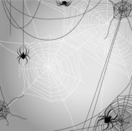 Background with spiders N2