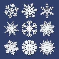 Set of white paper snowflakes N2
