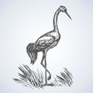 Crane Vector drawing