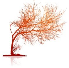 Bended Tree Detailed Trace vector