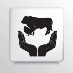 Square Icon With Two Hands Cupping Livestock Animals Silhouette N2