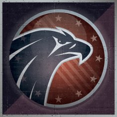 Eagle icon N12