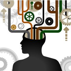 Brain Solution N4