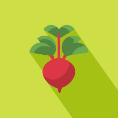 Radish icon