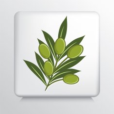 Square Icon With Olive Branch N4