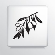 Square Icon With Olive Branch N5