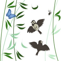 nature background N16
