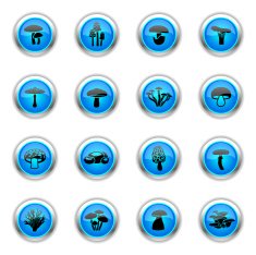 Blue Icons - Edible Mushrooms