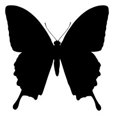 Insect silhouette N69
