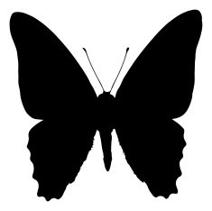 Insect silhouette N74