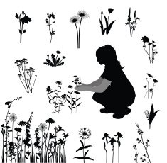 Planting N7