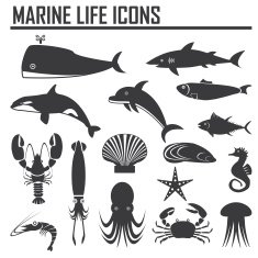 Marine Life Icons N3