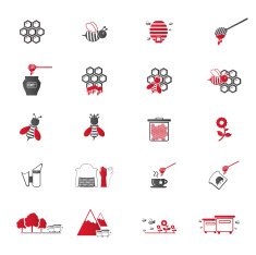 Bee and Honey Icon Set N6