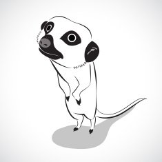 Meerkat N3