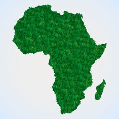 Africa map from grass