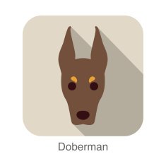 Doberman dog face flat icon series