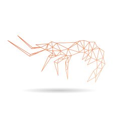 Shrimp abstract isolated on a white background
