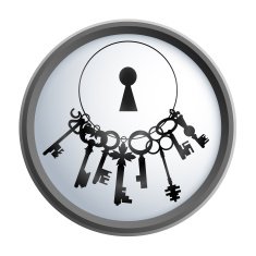 Bunch of keys vector