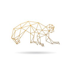 Monkey abstract isolated on a white background N2