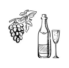 Wine bottle glass and grapes sketch