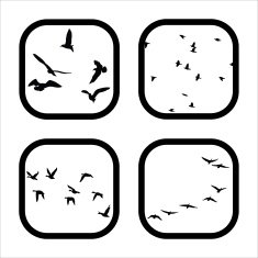 Flocking