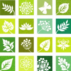Summer natural icons
