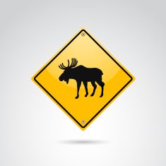 Moose crossing N3