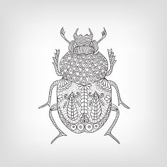 The scarab beetle on a light background N2