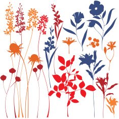 Set of floral design elements N23