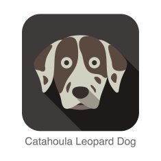 Catahoula leopard dog face flat icon series