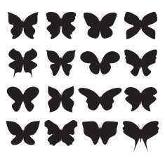 butterfly collection N2