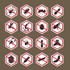 Pests Insects Bugs Prohibition and Repellent Signs