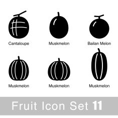 Fruit flat icon design N10